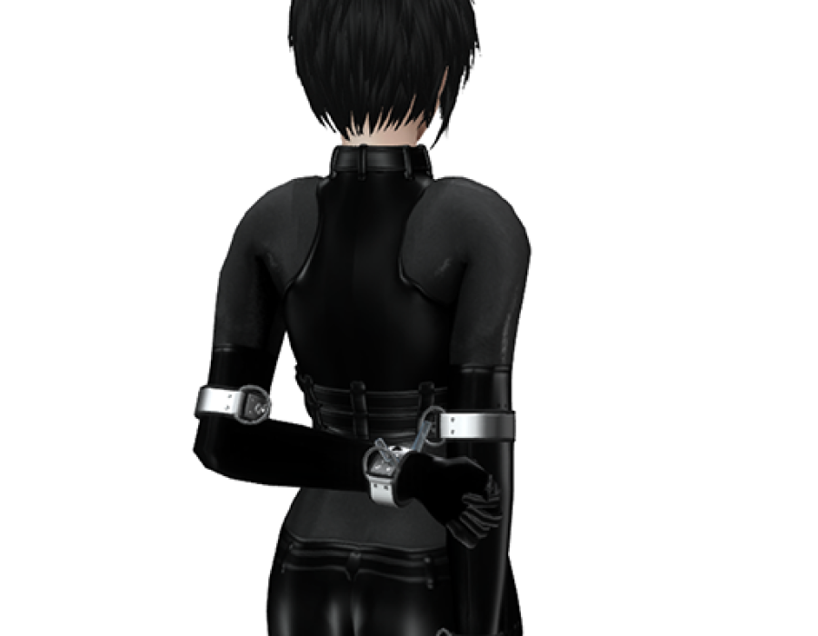 snapshot_1234.png