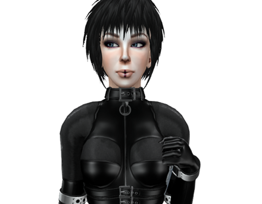 snapshot_1238.png